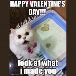 22-02-4_valentines-cat-meme