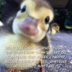 selfcare-duckling